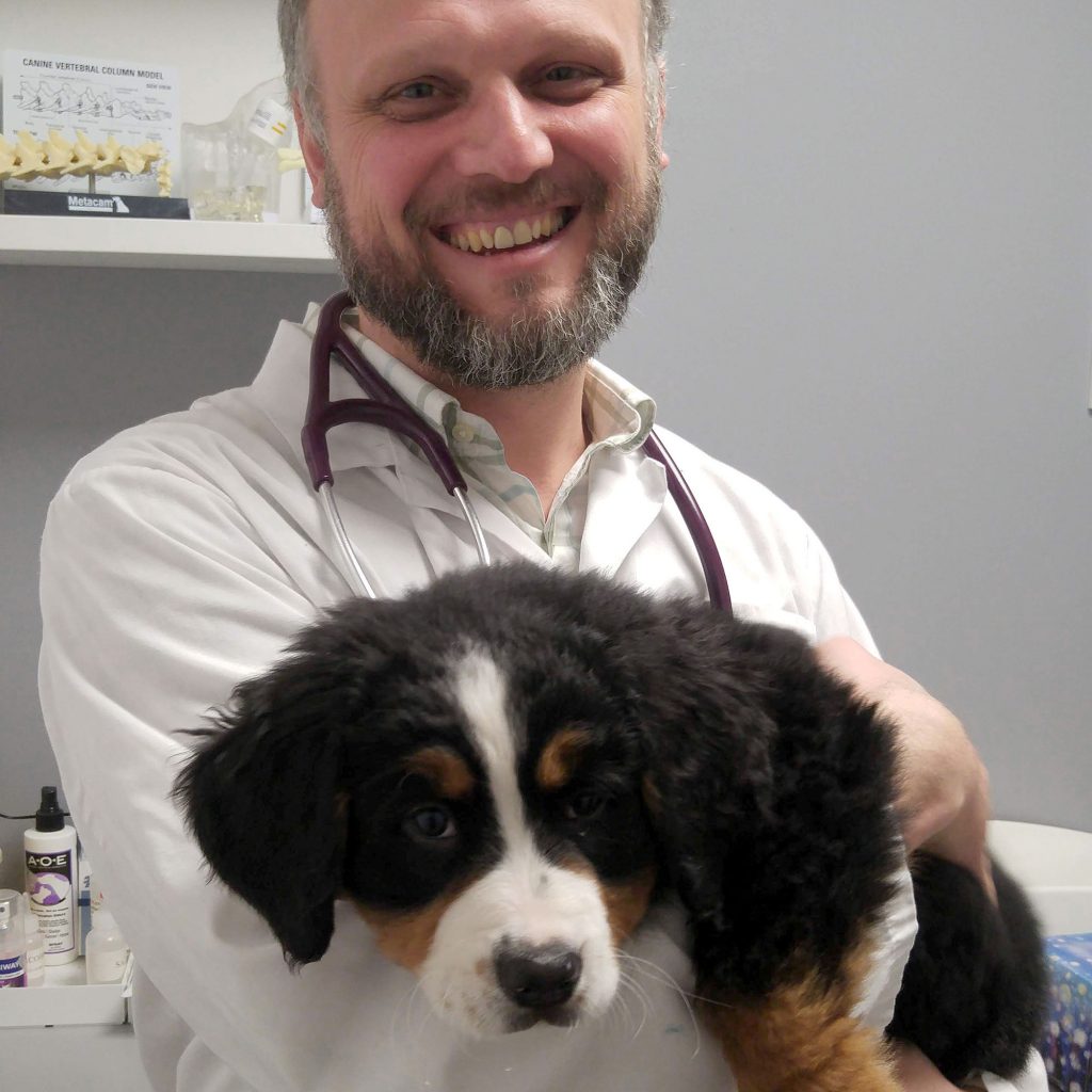 coquitlam-animal-hospital-services